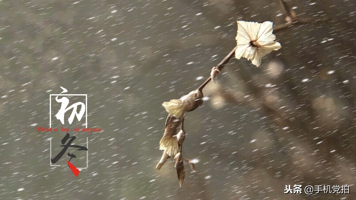 下雪天手机怎么拍慢动作雪景,手机下雪拍雪景专业模式