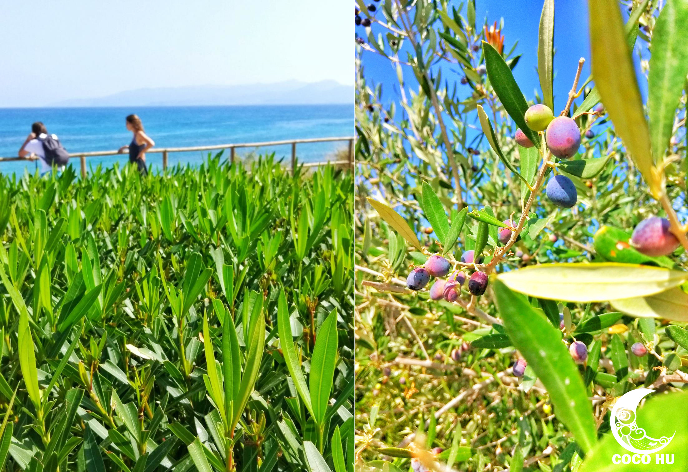 克里特文明与古埃及文明的联系,希腊克里特岛文明