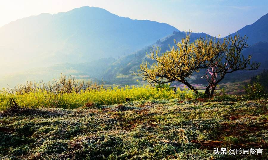 田园春景诗词,田园诗词二十首