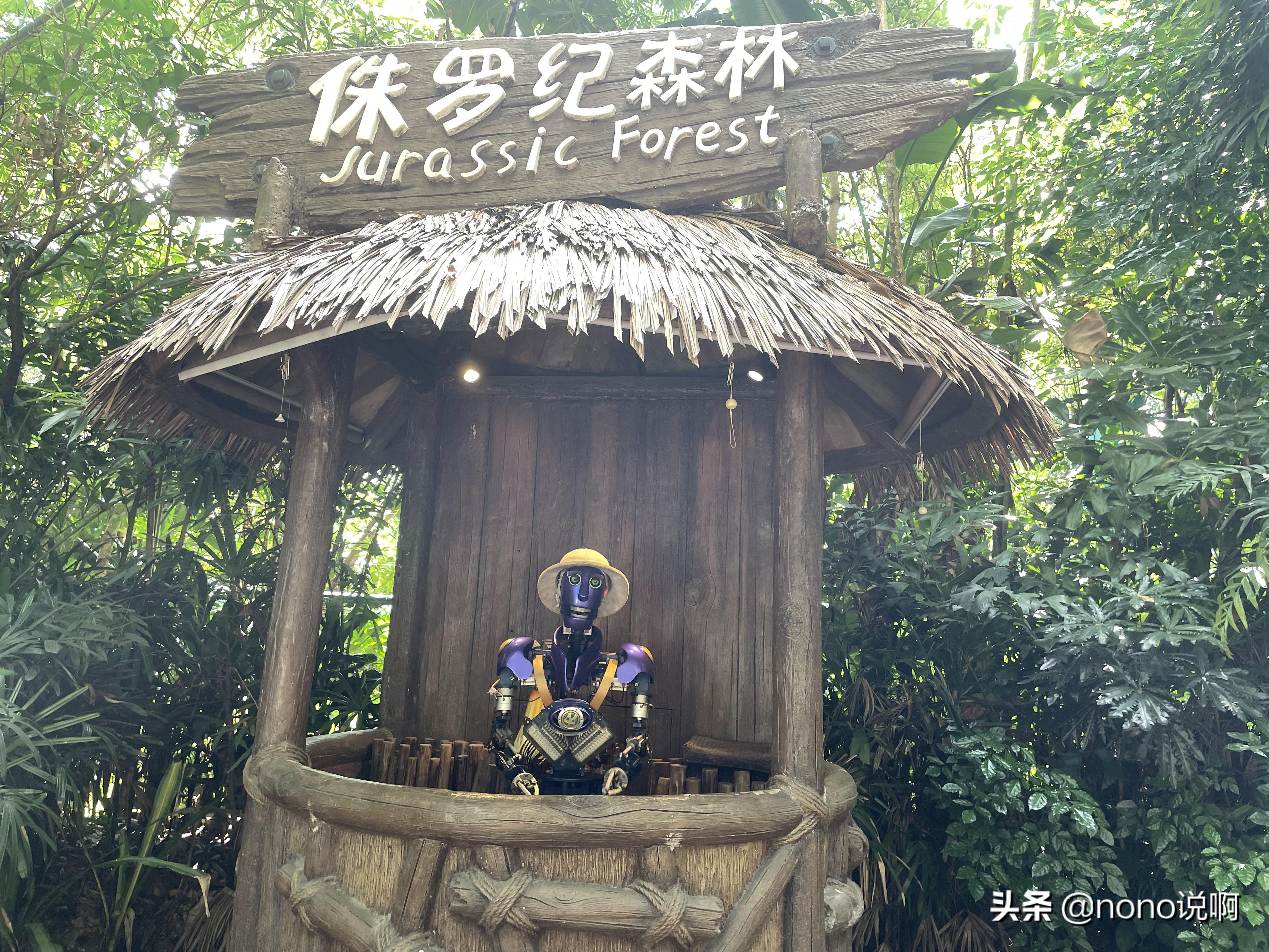 广州长隆野生动物园亲子旅游攻略,11月广州长隆野生动物园游玩攻略