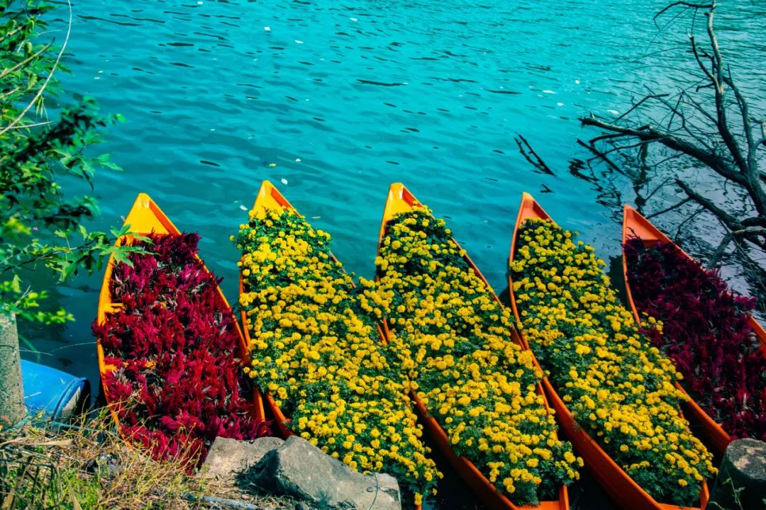 长沙亲子游玩的地方免费沙滩,长沙石燕湖亲子游攻略