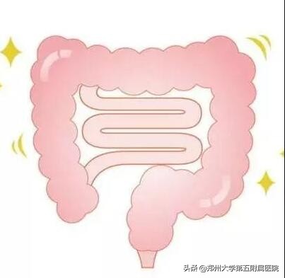 关于肠道微生态的故事,肠道微生态的重要性和调理方法