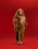 这几个部位的毛不能随便剃掉，特别是最后一个部位！