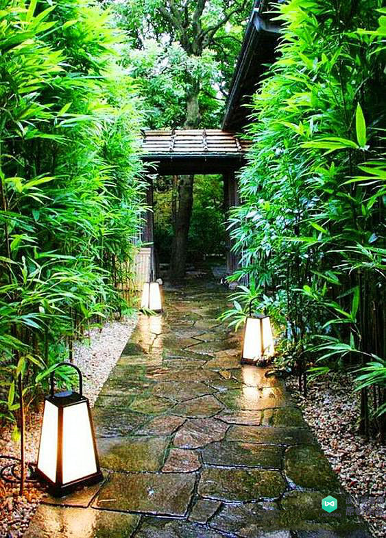 院子适合种的花和设计,庭院设计植物大全