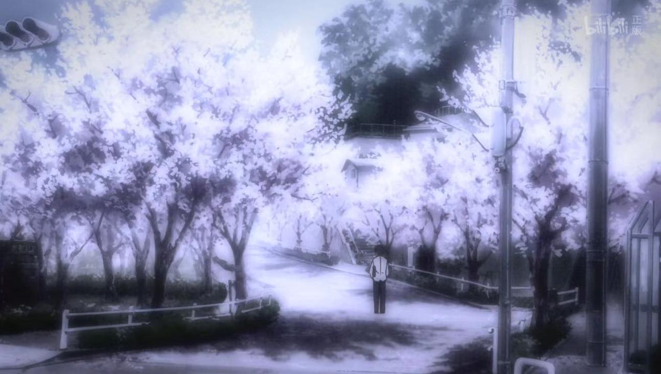 动漫樱花有什么含义,日本动漫中樱花文化