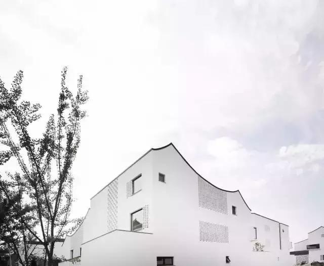 最美银杏秋景自驾攻略,杭州银杏树旅游攻略