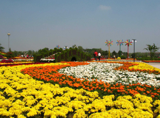 鄢陵第一届花博会,第二十届中原花木博会鄢陵