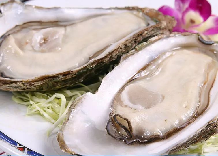 乳山海阳所牡蛎文化园,乳山牡蛎正宗做法视频