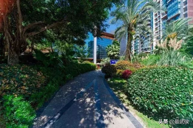 穿越古今观光,旅游穿越古今