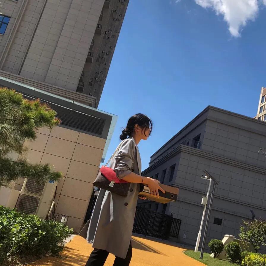 lv传奇信封包,lvpallas包改造