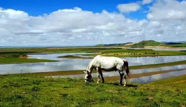 若尔盖，最美的川西草原