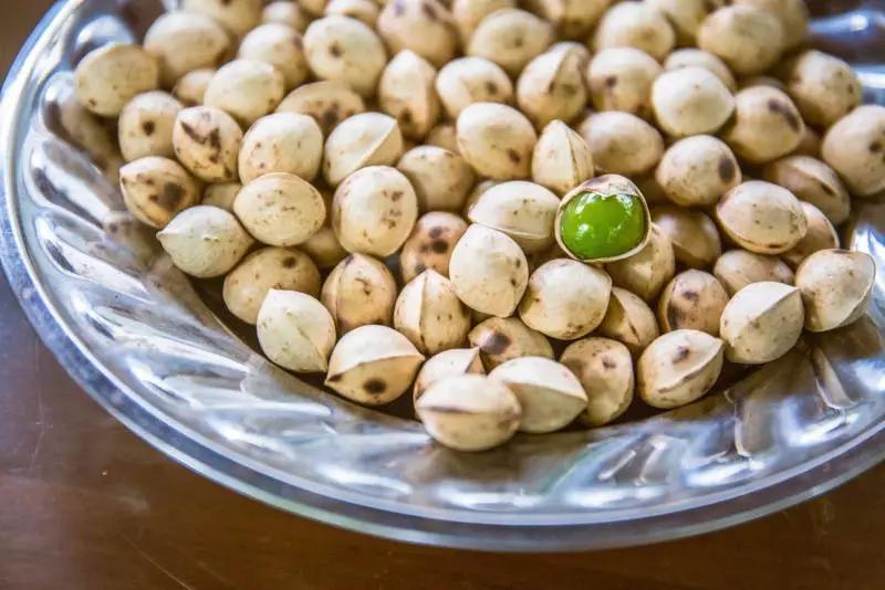 这是一个生机勃勃的地方关于它的故事才刚刚开始