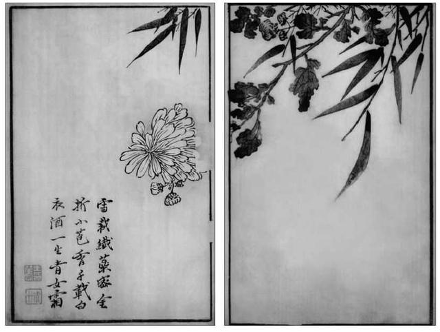 菊花写意画法100幅,简单的写意菊花画法