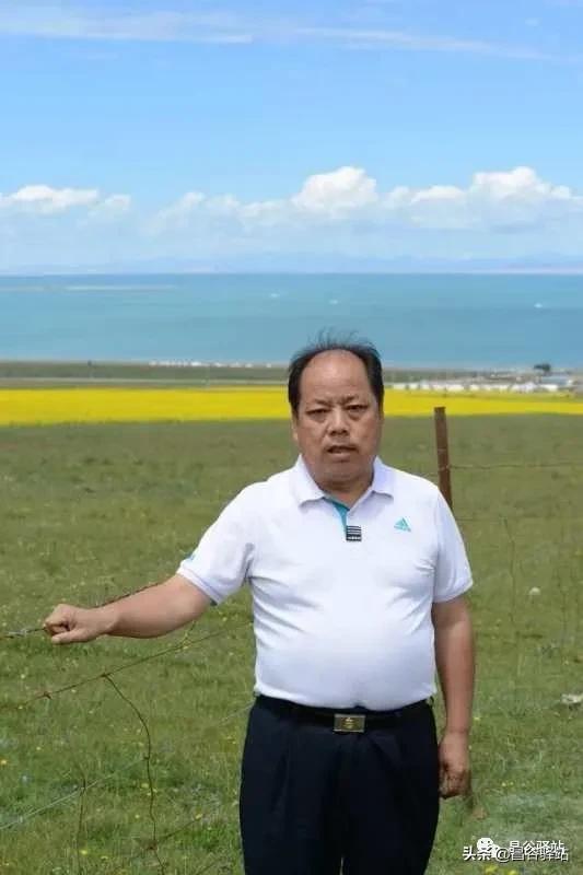 山花烂漫中条山之山杏花开树树梅