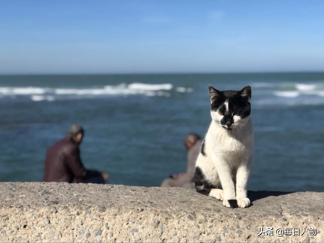 全世界最爱看着大海发呆的人，都去了哪里？