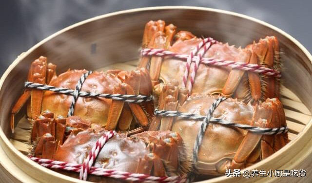 买回来大闸蟹能放多久,买回来大闸蟹可以放几天