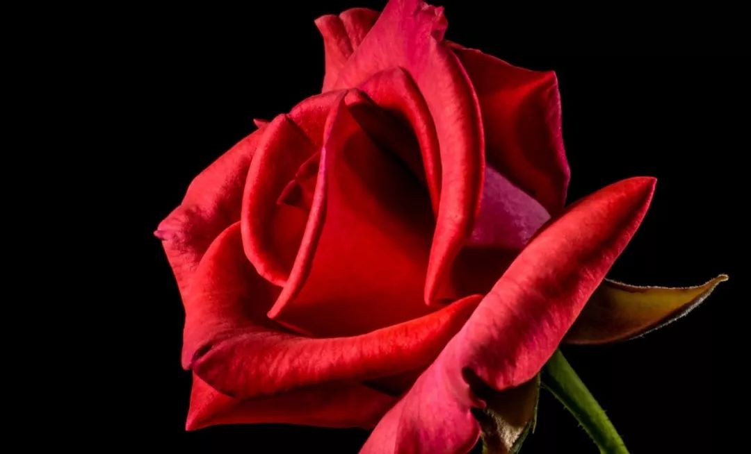 北大女生自杀事件：这场极致的冥王星操纵，只钩住了2件事