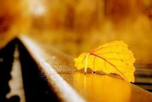 秋天的风景是如此的让人迷醉,秋天的美景个个都让人惊艳