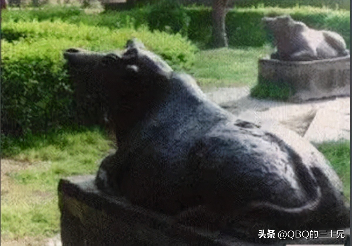 毛人水怪的真实事件,毛人水怪诡异传说改编