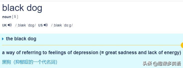 老外说Youareagaydog可千万要淡定啊