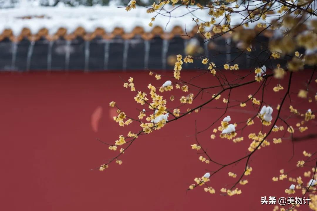 有冬要来有雪入怀泣不成声,有冬要来有雨入怀