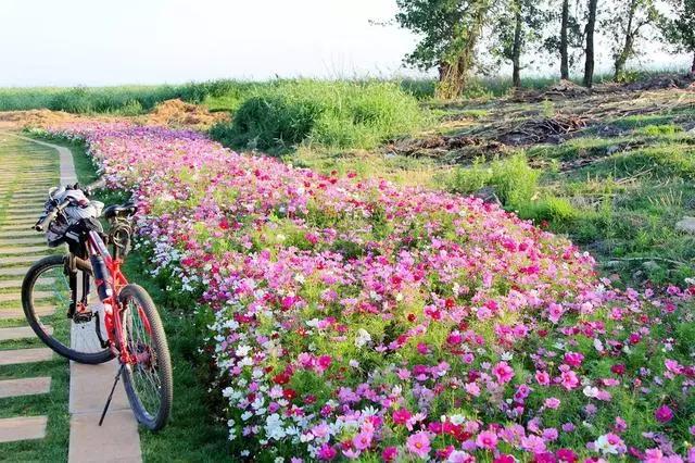 穷游昆明自由行攻略,昆明旅游攻略穷游推荐