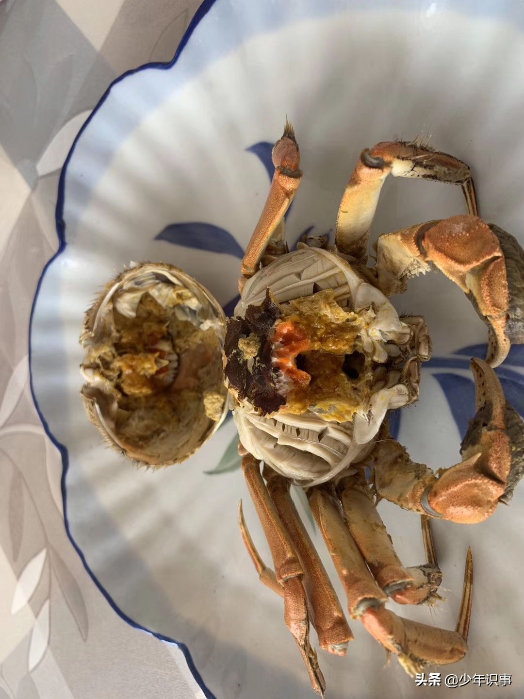 大闸蟹死了可以吃吗,螃蟹刚刚死可以吃吗