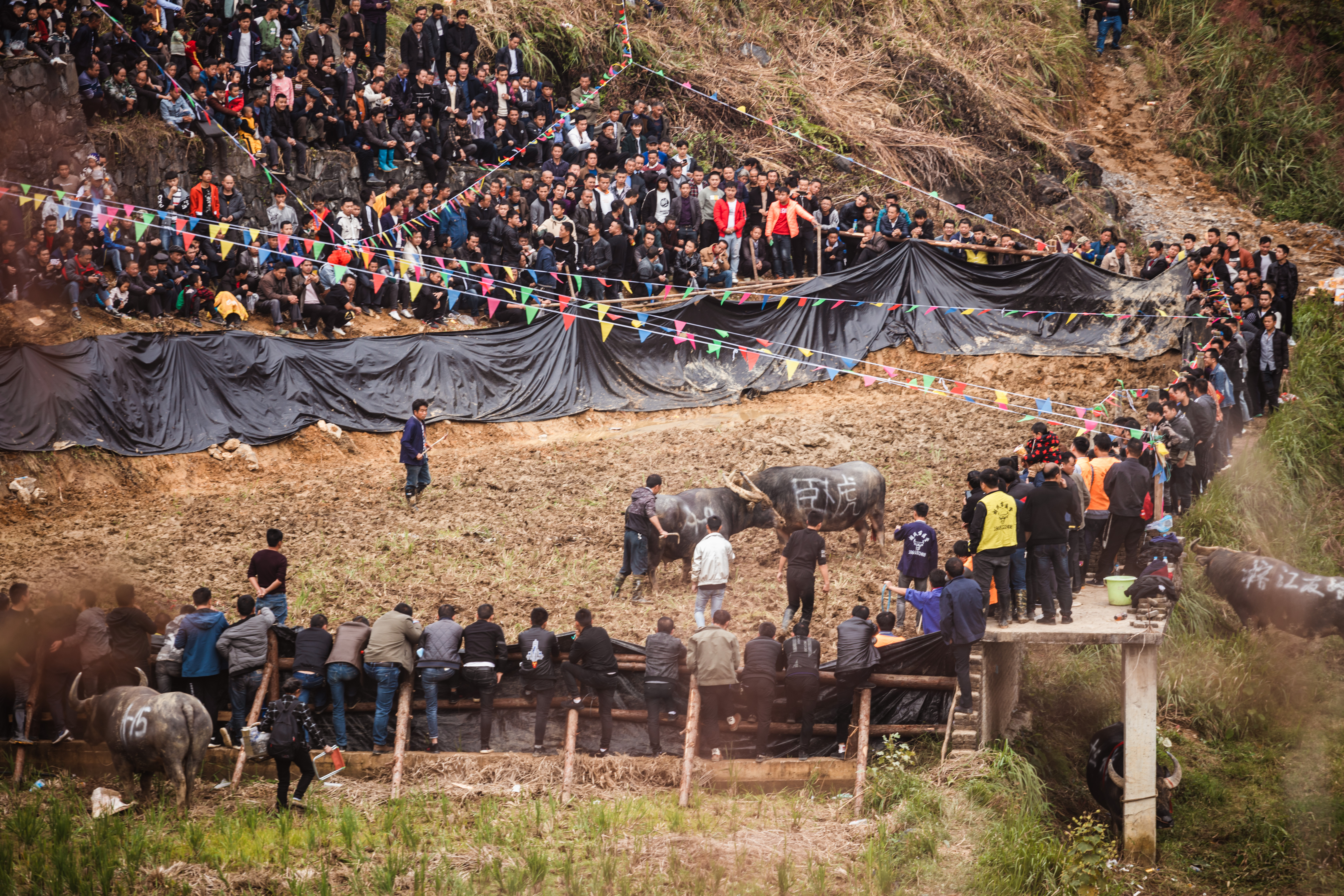贵州人少景美的小村寨,贵州特点寨子