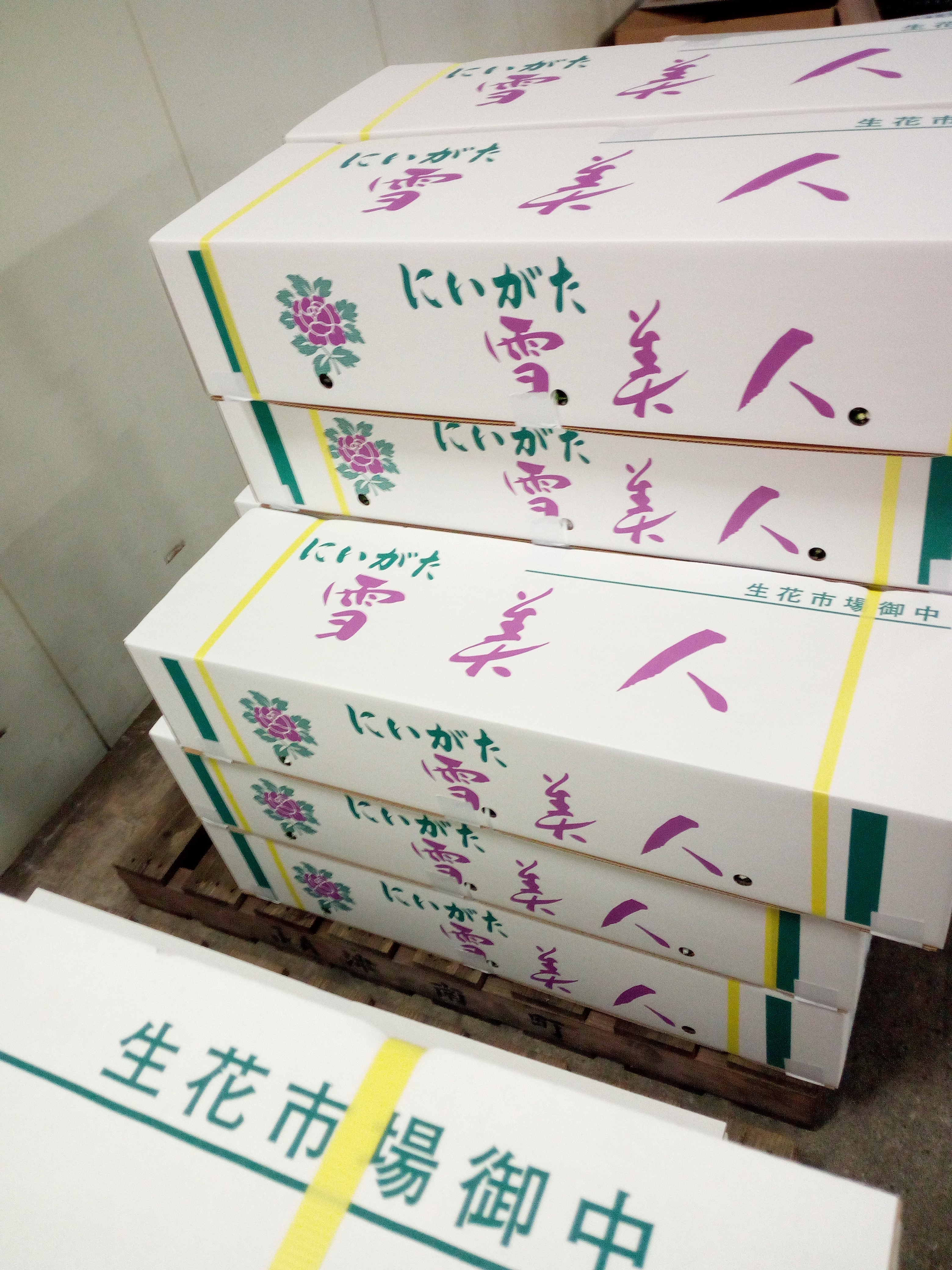 果蔬保鲜技术研究现状及发展趋势,果蔬保鲜储存技术参数表