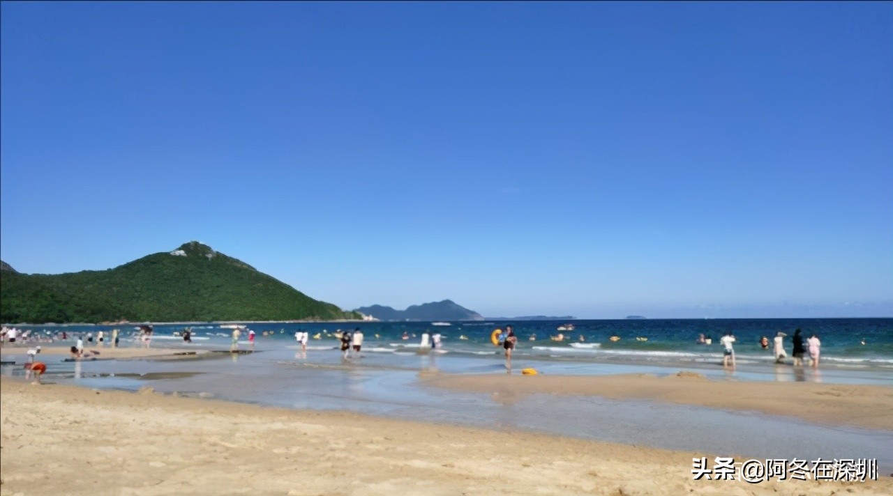 深圳一日游必去的十个免费景点,深圳一日游必去十大网红景点