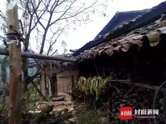 四川人的美好回忆,四川老一辈的记忆