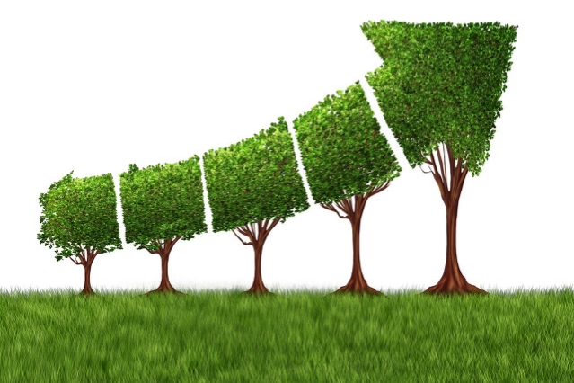 农民土地入股合作社的合作模式,土地种植入股经营合作方案