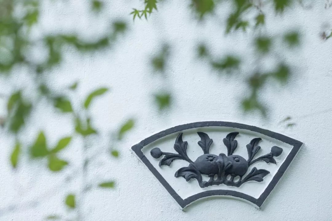 腹有诗书气自华语录,诗书气自华经典名句