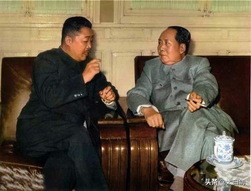 盘点：毛*东泽**对十大元帅的独特评价