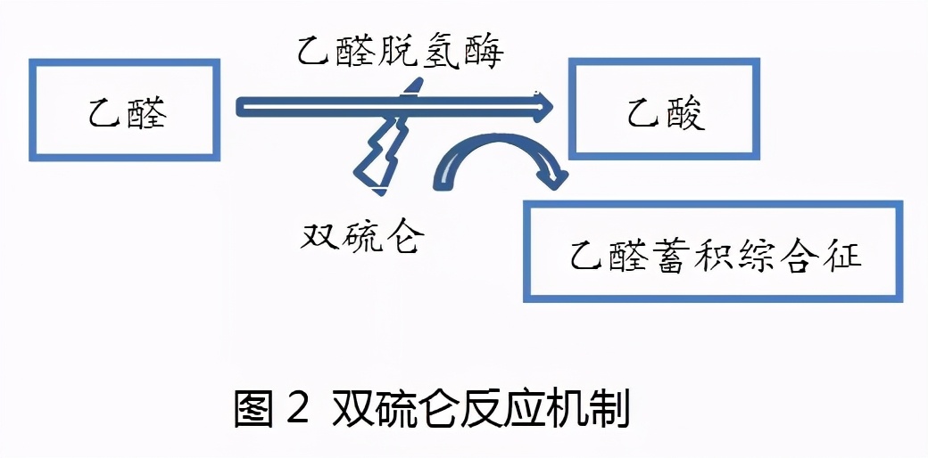 服用头孢后避免饮酒多长时间为宜,头孢后多久可以喝奶加益生菌