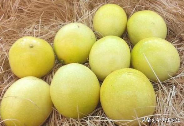 百香果是水果之王吗,牛油果为什么被称为水果之王