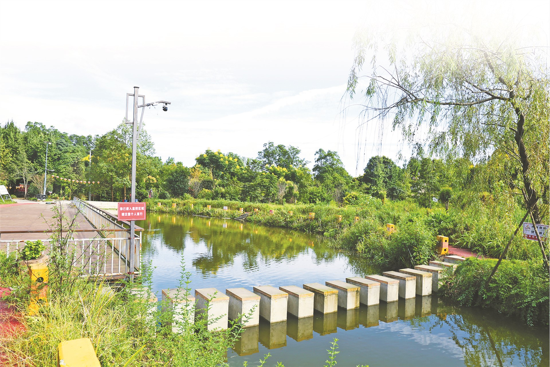 双港镇整治人居环境建设美丽乡村,向阳乡美丽乡村建设