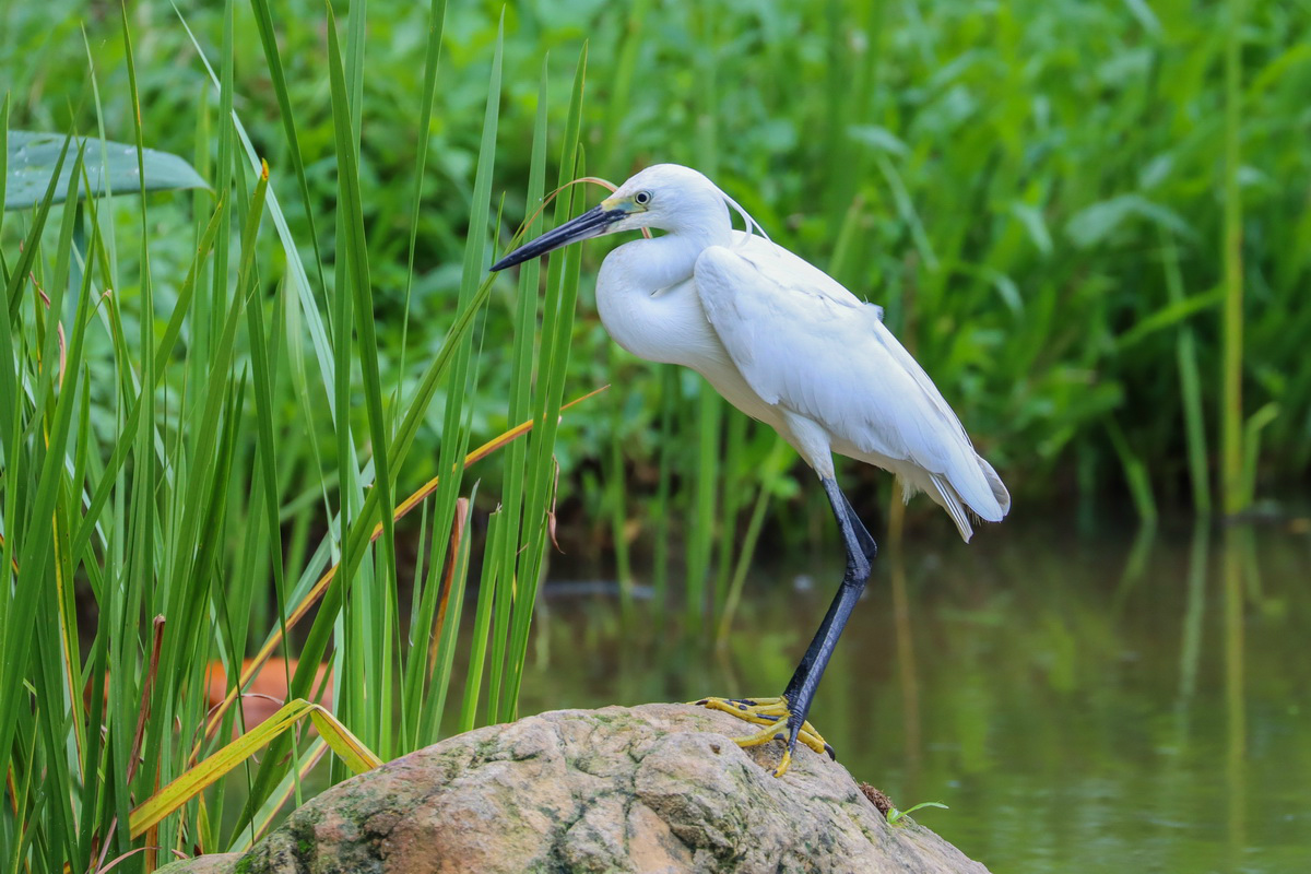 佳能eos90d适合拍产品么,佳能eos90d拍摄效果