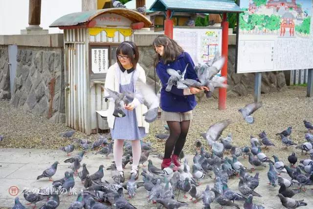 在东京京都之间，藏着一座日本领先且出产战国名将的大城市