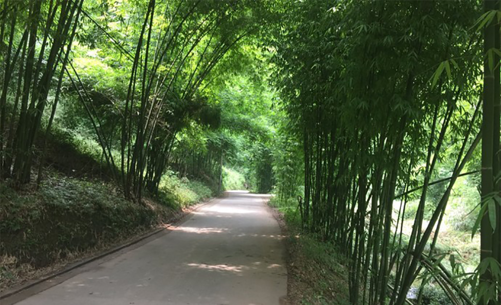 成都竹海风景区,成都竹海旅游景点大全