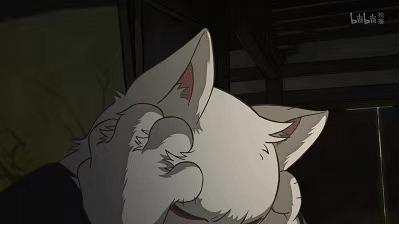 大护法系列国漫,大护法高分国漫