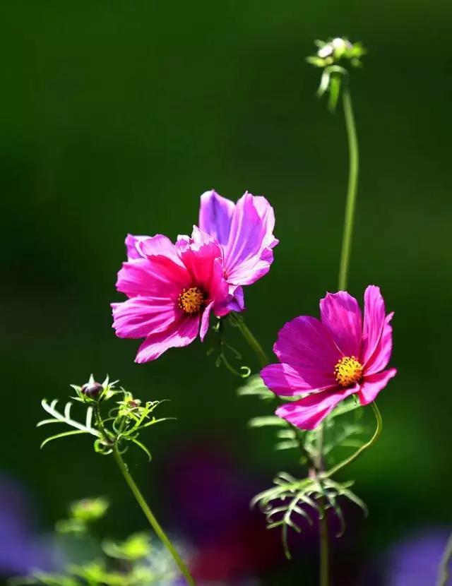 快手文案短句正能量的句子,文案霸气快手热门语录短句