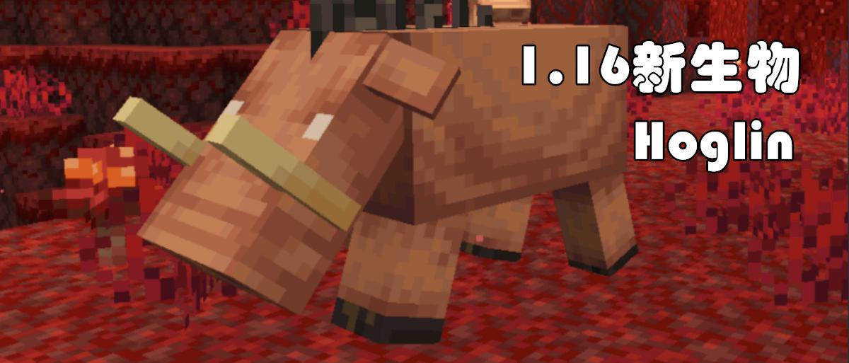 我的世界下界新生物,我的世界下界和末地新生物