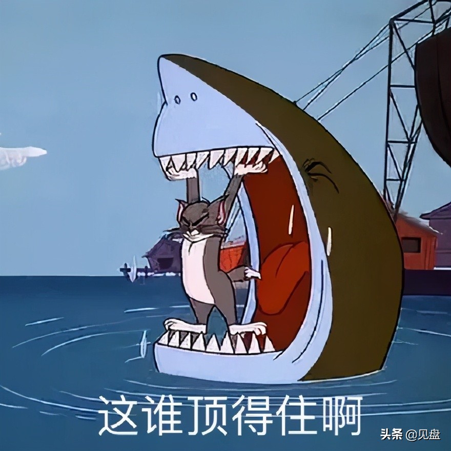 张琪格亮出户口本现场招“婿”，交大高材生主动上门遭婉拒