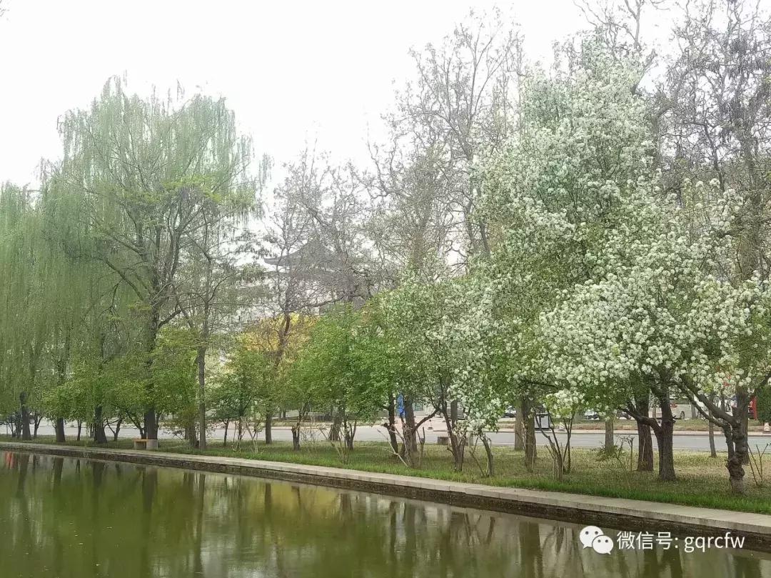 国庆节人才服务,国庆节最新招聘信息