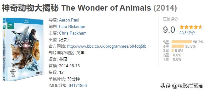 蝙蝠为什么是背锅侠,蝙蝠真实纪录片