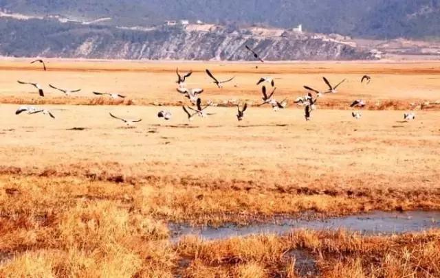 六月我们一起去旅行,九月带你去旅行