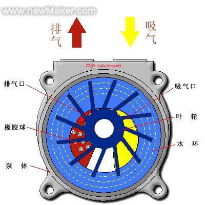 一群机械动物的动画片,一堆机器兽动画片