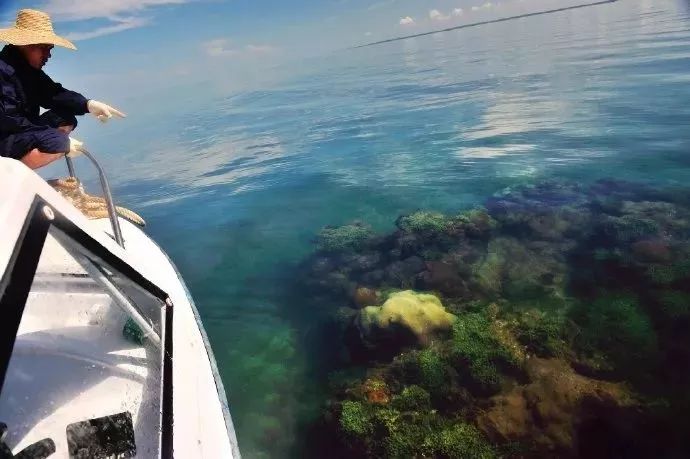 距海南20km有片处女地，比台湾风情比三亚便宜，路过都错过了