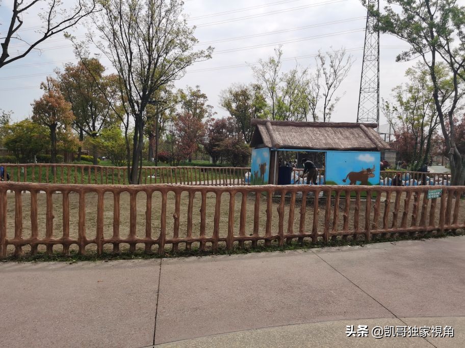 不一样的南通动物园,南通森林野生动物园和上海动物园